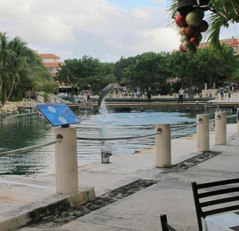 Puerto Aventuras, Departamento A Unos Pasos De La Playa 아파트 외부 사진