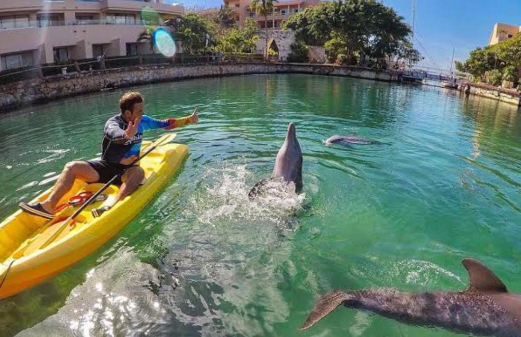 Puerto Aventuras, Departamento A Unos Pasos De La Playa 아파트 외부 사진